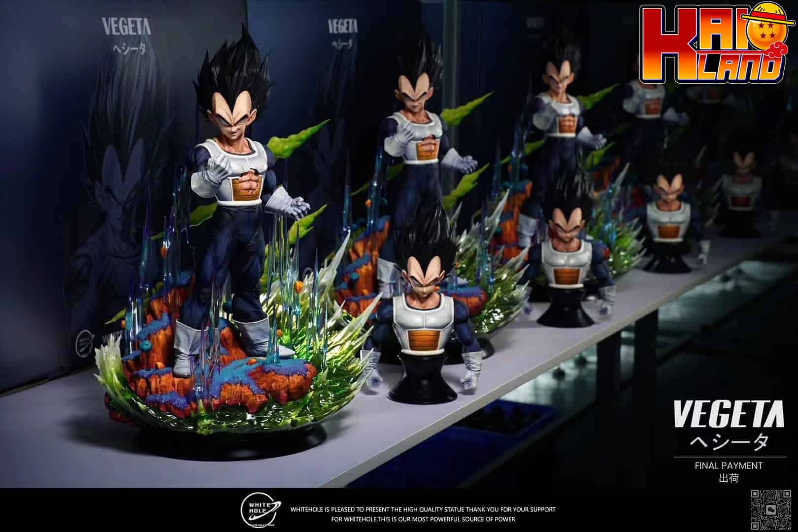 Dragon Ball White Hole Studio Namek Suit Vegeta Resin Statue