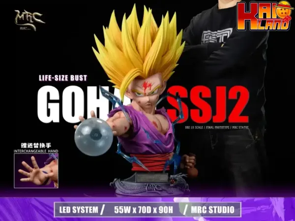 Dragon Ball MRC Studio SSJ2 Gohan V2 Resin Statue 5